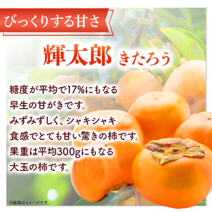 【期間限定】令和8年産 輝太郎 2kg 6玉～10玉（柿） フルーツ 先行予約 柿 倉吉産 ブランド柿 果物 数量限定