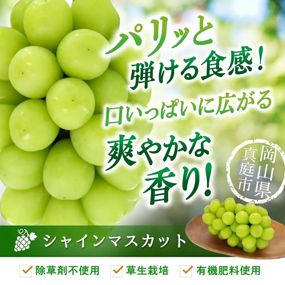 【2026年先行予約】花笑み農園の『シャインマスカット』700g以上（大１房）岡山 ぶどう シャインマスカット 真庭市 【hana080-01】