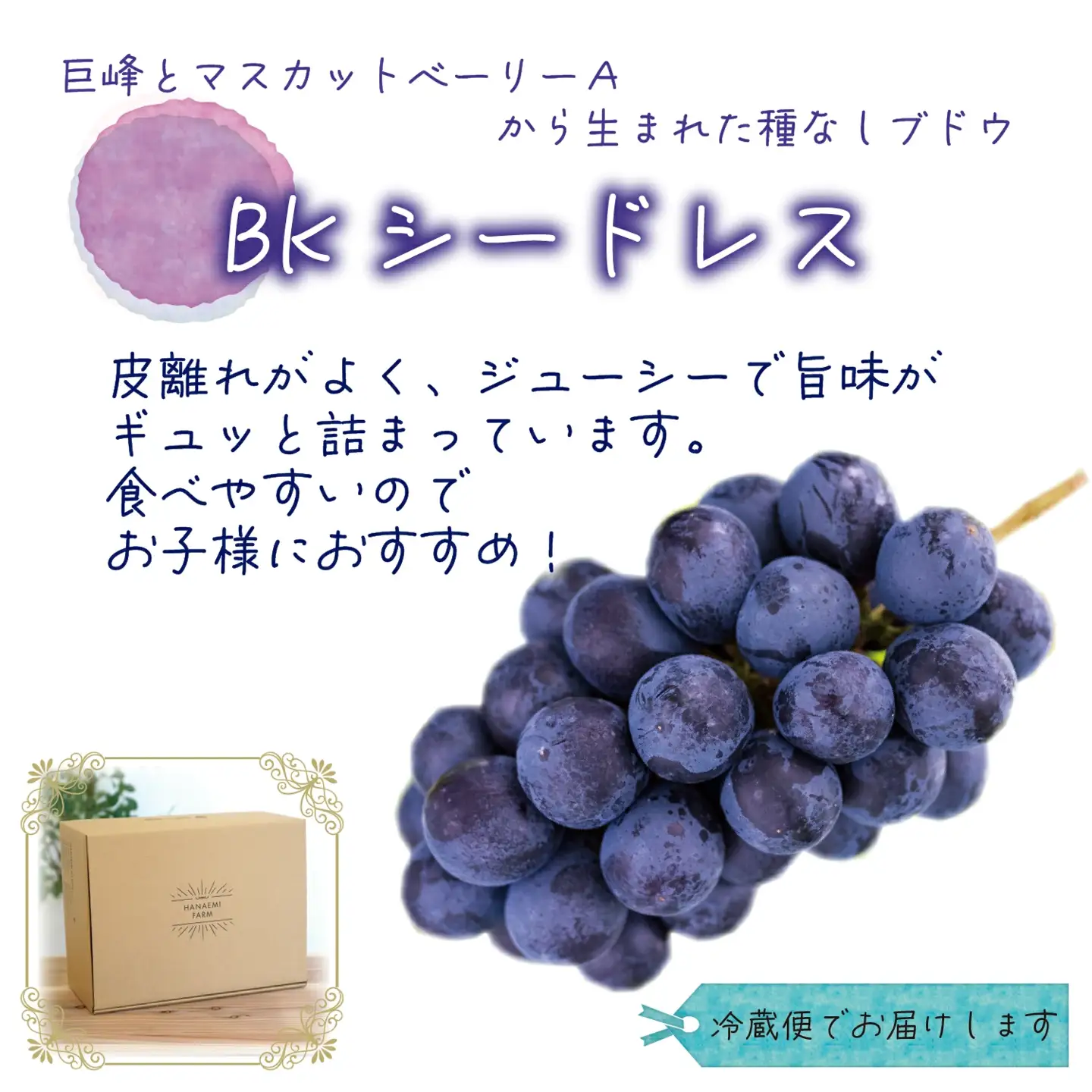 【2026年先行予約】花笑み農園の『BKシードレス』優品　2kg（3～5房） 岡山 贈答用 ぶどう 【hana082-01】