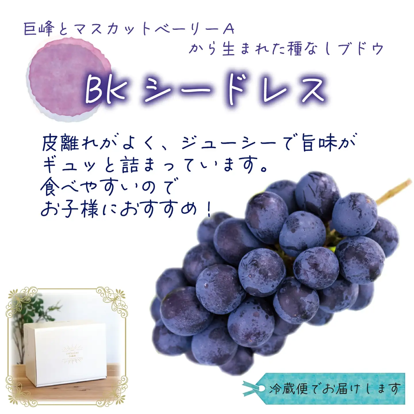 【2026年先行予約】花笑み農園の『BKシードレス』500g以上（中１房） 岡山 贈答用 ぶどう 【hana083-01】