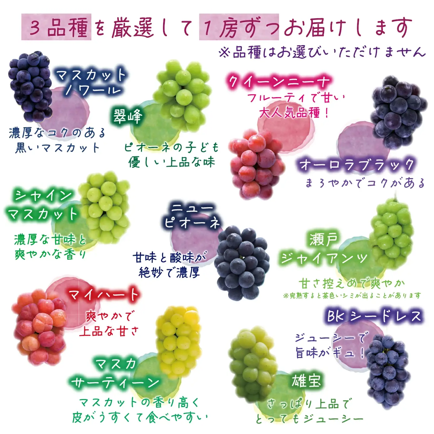 【2026年の先行予約】花笑み農園 10月おすすめ『ぶどう３種』家庭用（1.8kg） 岡山 詰め合わせ 食べ比べ 真庭市 【hana086-01】