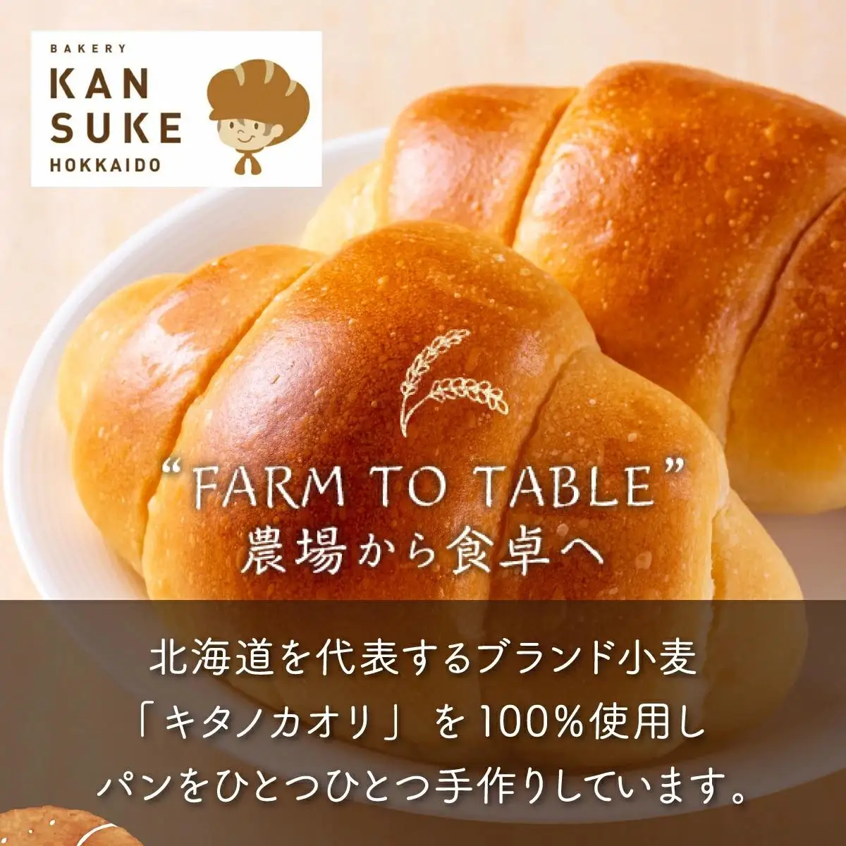 【人気パンの福袋】『キタノカオリ小麦のフルコース』食パン1本・ロールパン5個・キタノカオリ小麦のおまかせパン10個 (計16個)  1セット  ｜ ベーカリーカンスケ