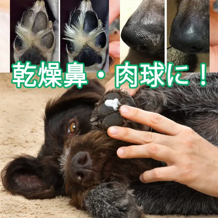 えぞ鹿バター ハナ＆パッドケアー【25g×3缶】_I020-0793