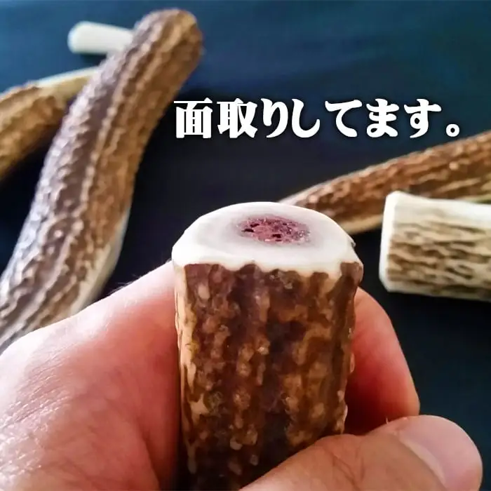 えぞ鹿カット角【約10cm×3本】※トリーツ_I020-0434