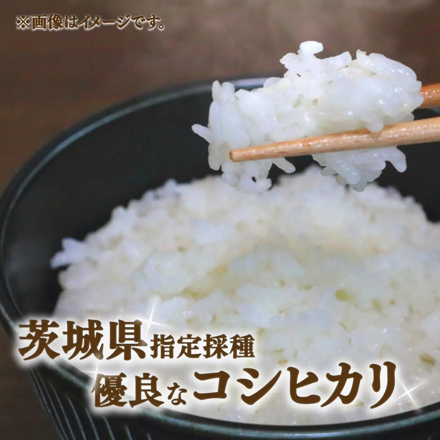 米 令和7年産 コシヒカリ5kg 精米 こしひかり