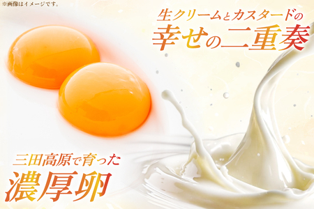 神戸三田高原卵 使用 カステイラ 生クリーム ロールケーキ 500g×1本