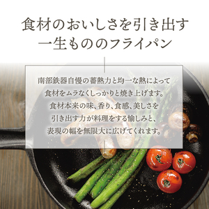 南部鉄器 フライパン 20cm 【OIGEN 作】 IH調理器 伝統工芸品 鉄フライパン キッチン用品 食器 日用品 調理器具 アウトドア キャンプ[Z0025]