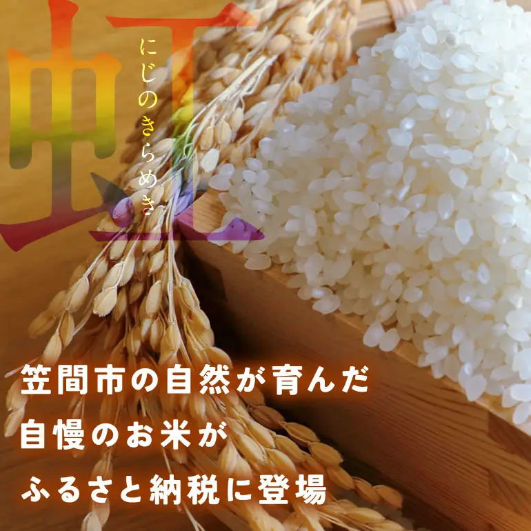 【ふるなびWEEK対象】米 にじのきらめき 精米 5kg FH-013