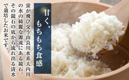 令和7年産 鏡石 米 ミルキークイーン (10kg) ふるさと納税 福知山市 米 こめ コメ 京ほたる 鏡石 清流 源流 もちもち 食感 甘み 香り 【fc-AZ004-R7】【京ほたる会】