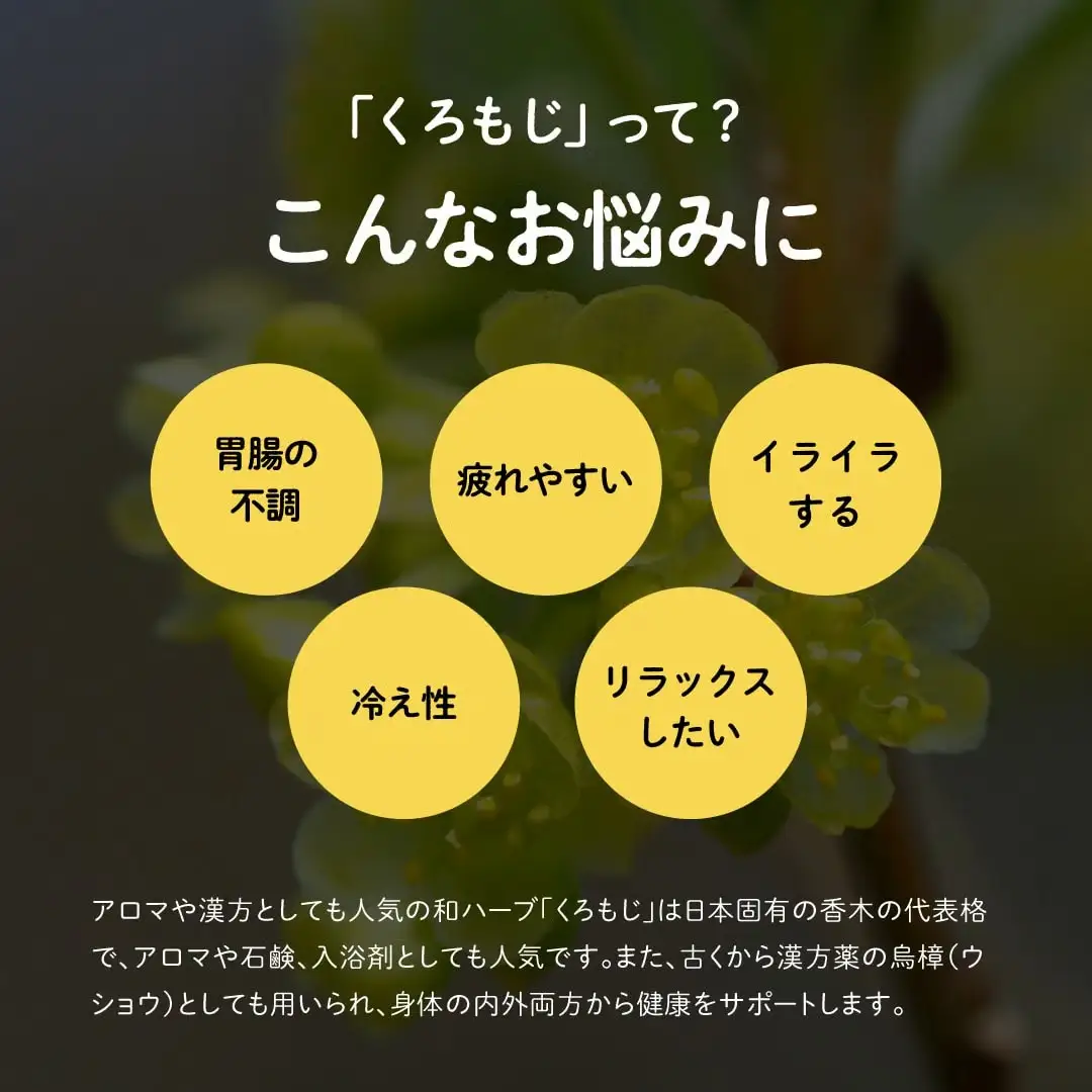 オニまる茶　農薬不使用・無添加 ティ―パックくろもじ緑茶　5袋セット【machi-04】