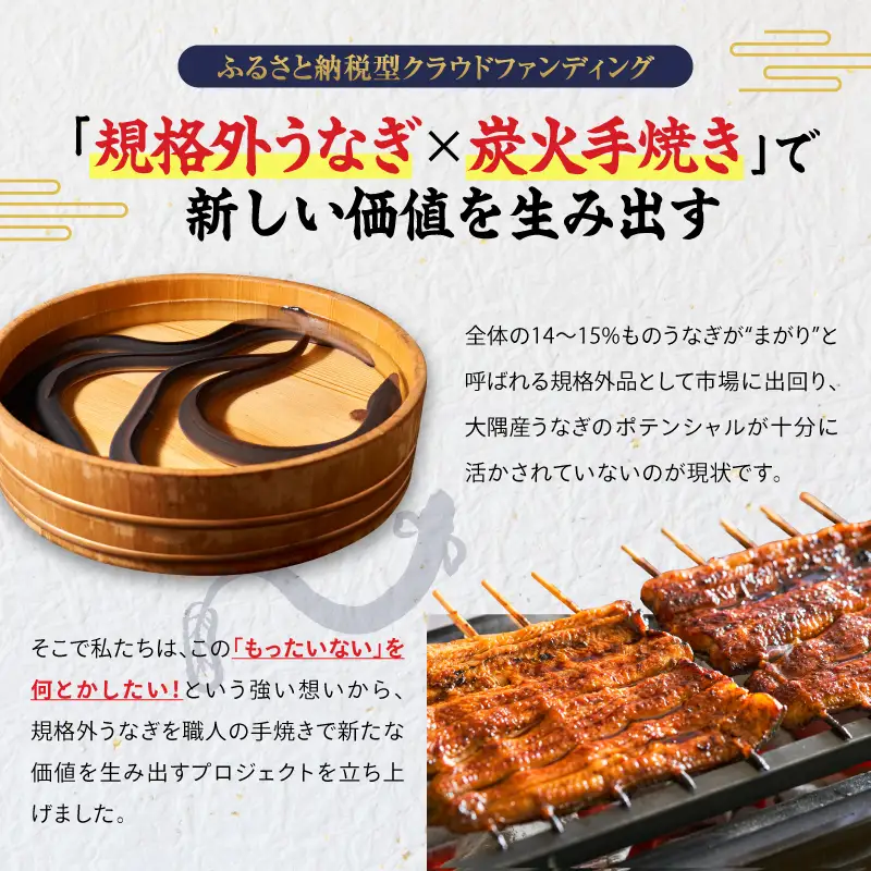 【 全12回 定期便 】 鰻 の 蒲焼 3尾（130g～180g×3） KN026-T07 うなぎ 惣菜 総菜 魚
