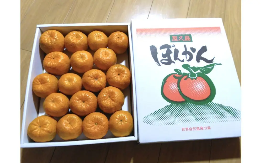 【2027年1月初旬以降発送】完熟！あま～い 屋久島ぽんかん 約3kg＜先行予約＞｜ぽんかん