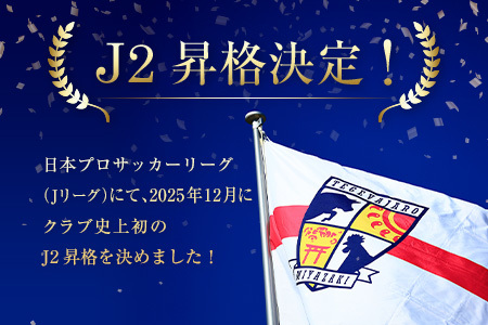 【サッカー 支援】 テゲバジャーロ 宮崎 改修 Jリーグ スタジアム 応援 S27