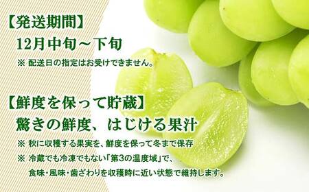 【令和8年産先行予約】 JA 冬のシャインマスカット 約1.5kg (2～4房 秀) 《令和8年12月中旬～下旬発送》 『JA山形おきたま』 マスカット ぶどう 果物 山形県 南陽市 [821-R8]