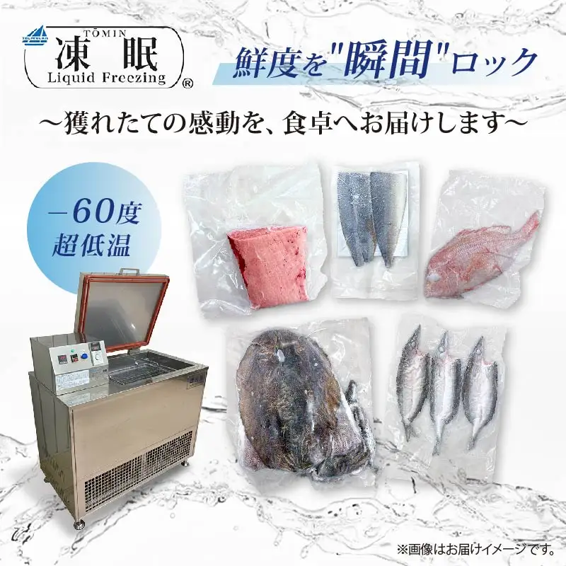 【 鮮魚 】 鮮魚 セット 4回 定期便 3種～5種