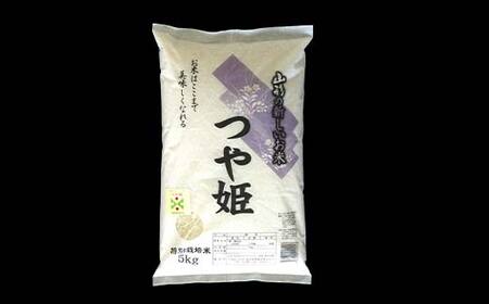 【金賞受賞農家】 《定期便12回》 令和7年産 特別栽培米 つや姫 計10kg(5kg×2袋)×12か月 『あおきライスファーム』 山形南陽産 白米 精米 ご飯 農家直送 山形県 南陽市 [2415]
