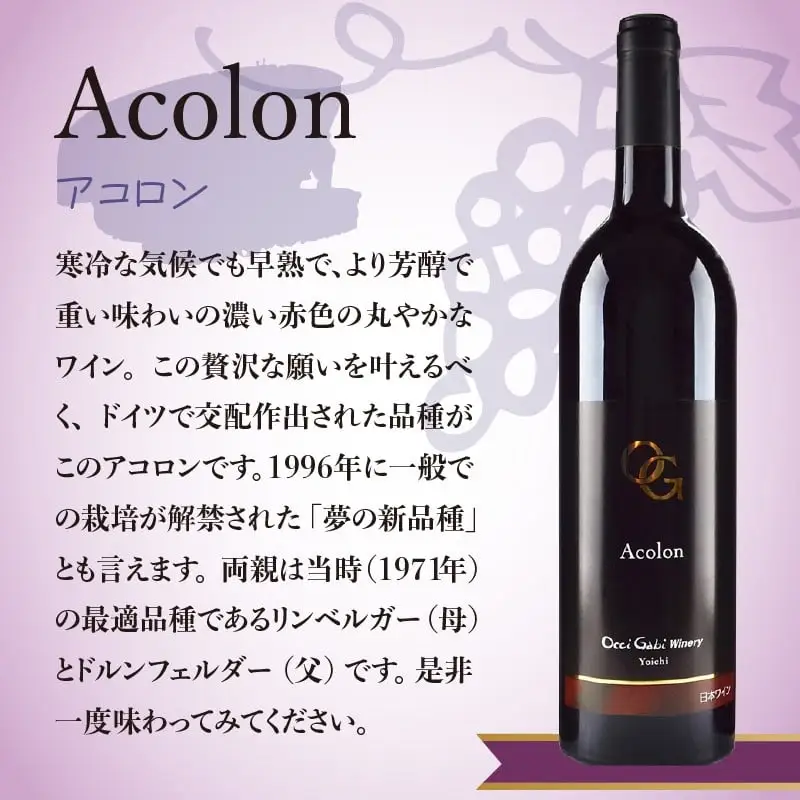 【OcciGabi Winery】赤ワイン飲みくらべ4本セット OcciGabi Winery 赤ワイン 飲み比べ4本セット スパークリングワイン_Y012-0112