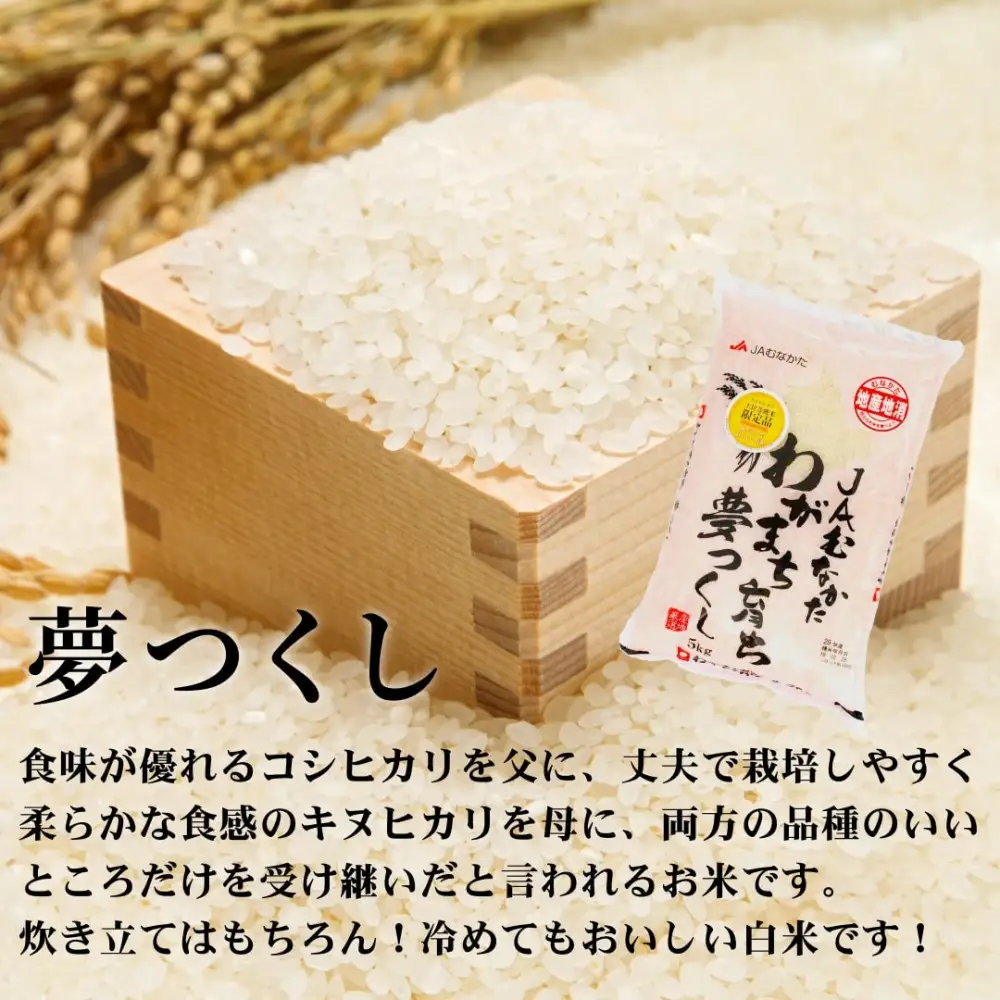 令和7年産 福岡県産米 食べ比べセット(夢つくし・元気つくし) 合計10kg (各5kg×1袋ずつ)
