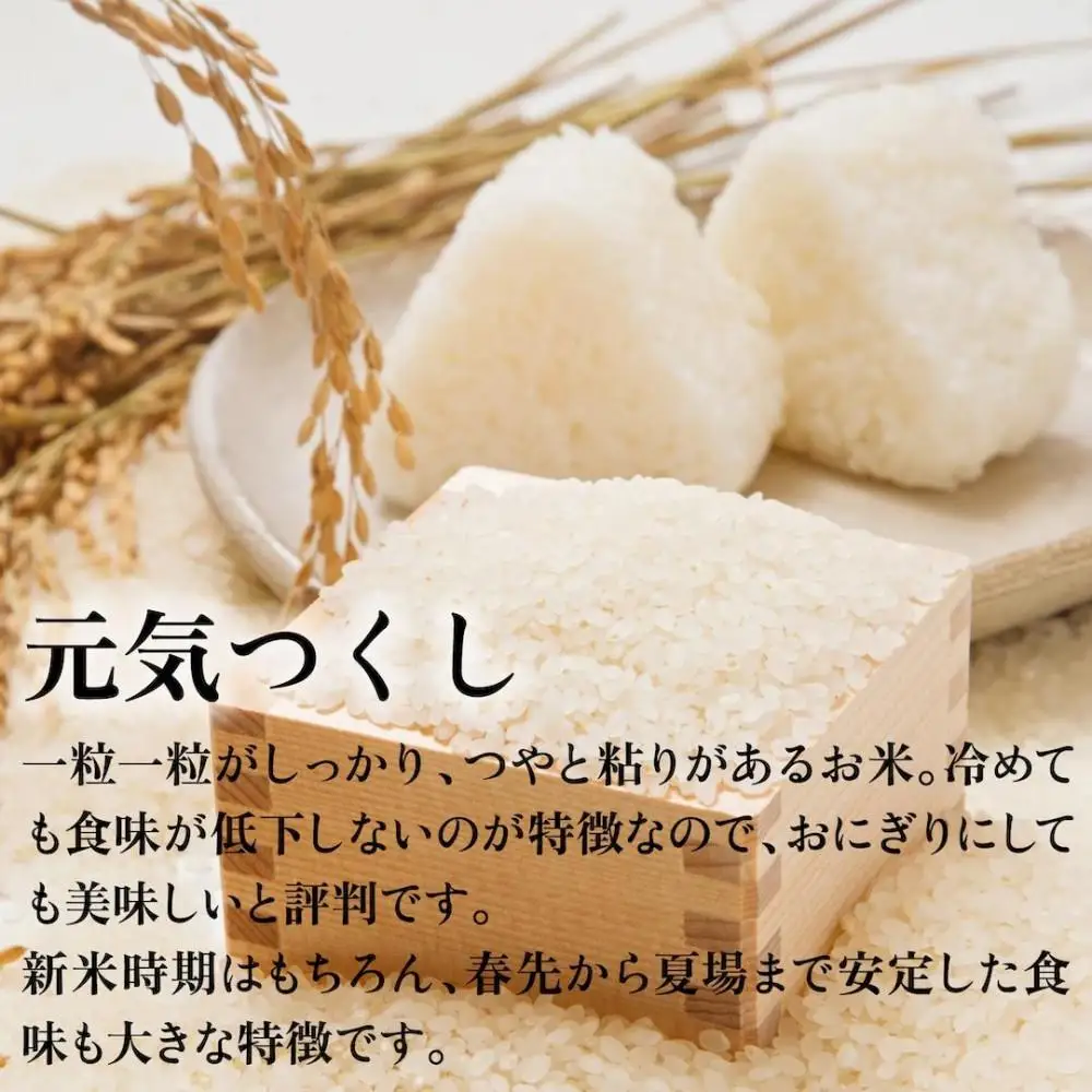 令和7年産 福岡県産米 元気つくし 合計10kg ( 5kg×2袋 )