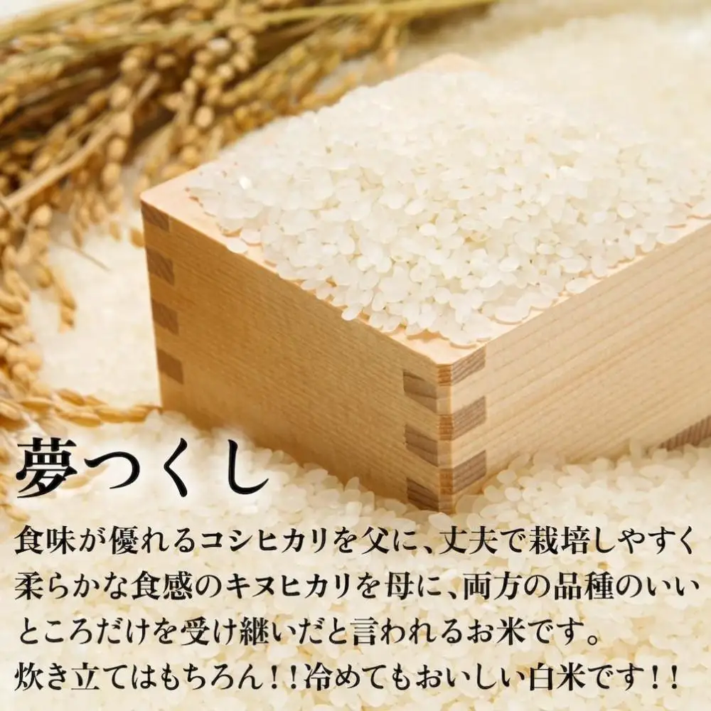 令和7年産 福岡県産米 夢つくし 合計10kg ( 5kg×2袋 )