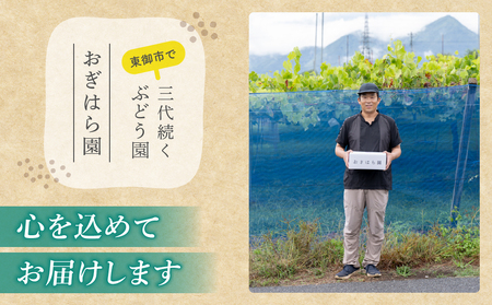 【2026年先行受付】農家直送！贈答用ぶどう詰め合わせセット ３kg（6〜10房）｜おぎはら園（シャインマスカット、種なし巨峰、ナガノパープル 、クイーンニーナ、クイーンルージュ®など）　※2026年9月中旬～10月上旬順次発送