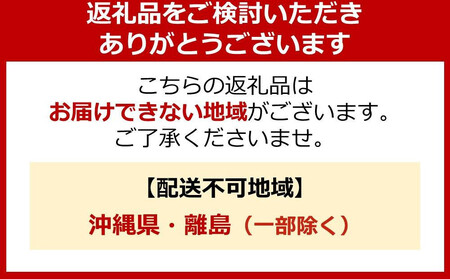 ライオン 洗剤「NANOXoneニオイ専用」つめかえ用超特大セット(1,160g×6個)【 ナノックス ナノックスワン 消臭効果 洗濯洗剤 詰め替え用 大容量 人気 おすすめ 部屋干し対策 日用品 消耗品 通販 送料無料 ふるさと納税 大阪 堺市】