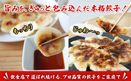 ＜愛媛のおいしい餃子セット 2種セット 合計100個(各種25個×2袋)＞ぎょうざ ギョーザ 餃子 国産 もっちり餃子 サクッとジューシー餃子 もっちり パリッ ジューシー 丸餃子 国産野菜 ブランド豚 鍋 浅野食品 愛媛県 西予市【冷凍】『1か月以内に順次出荷予定』OAH0004