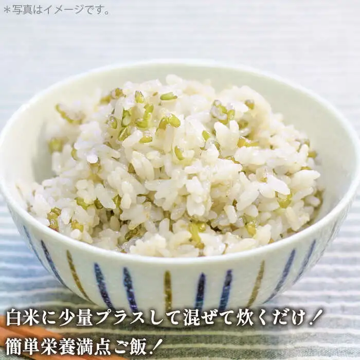 古代米 緑米 3kg 1kg入り × 3袋 [JDB124]