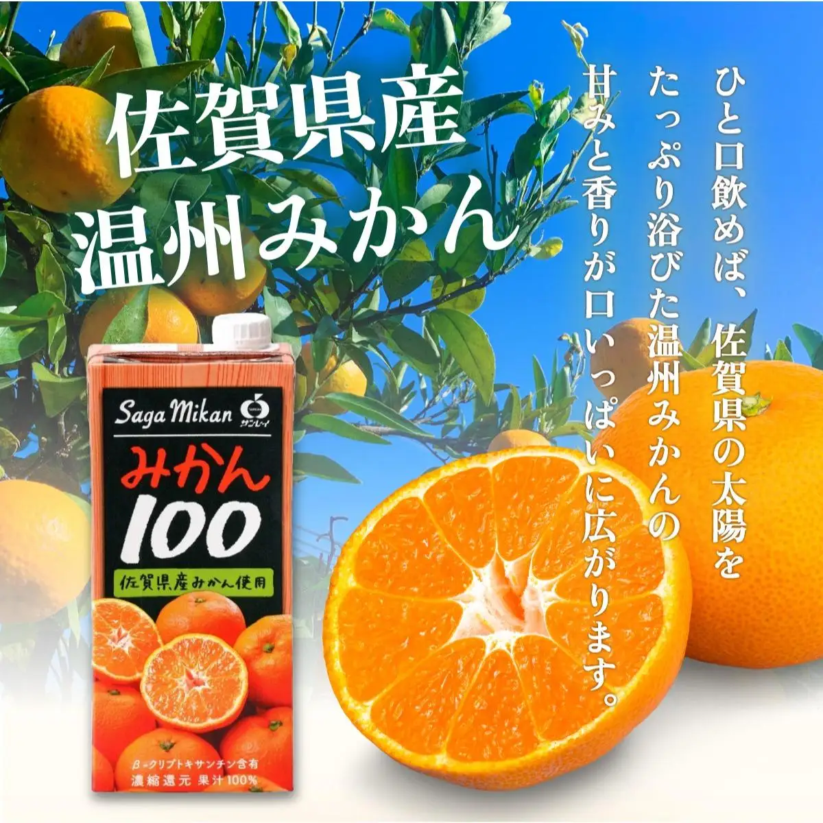 みかん100 1L×6本