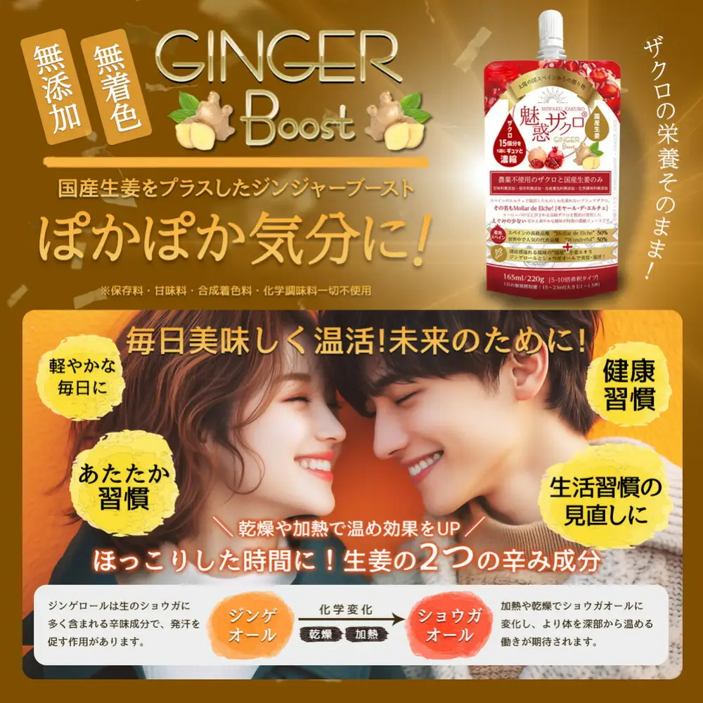魅惑ザクロ GINGER Boost(福岡市返礼品)【12袋入り】