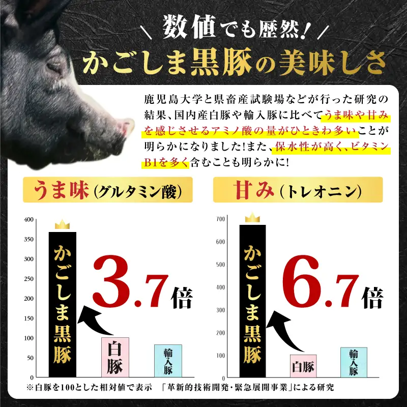 昔ながらの 黒豚 しゃぶしゃぶ セット 1.2kg＜ ロース 、バラ 、モモ ＞ K125-005 豚 豚肉