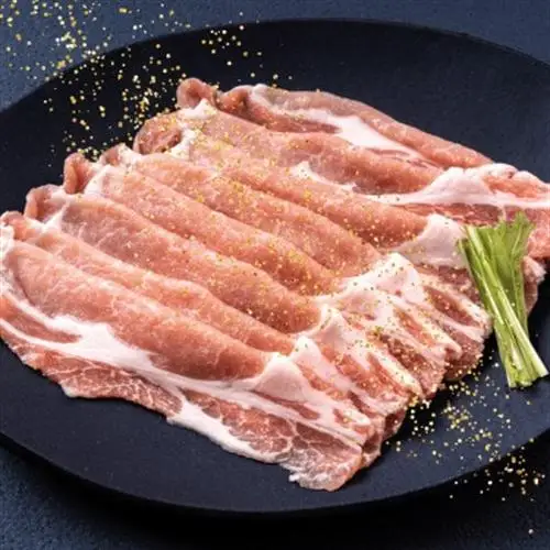 豚肉巻きおむすび 計10個 徳島県産【配送不可地域：離島】【1674679】