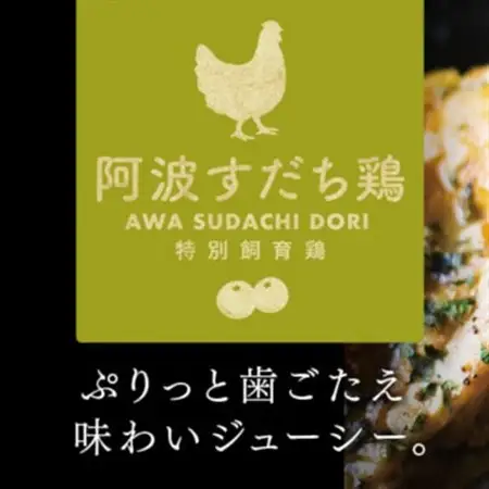 すだチキンバーガー5個入 計850g 徳島県産【配送不可地域：離島】【1676587】
