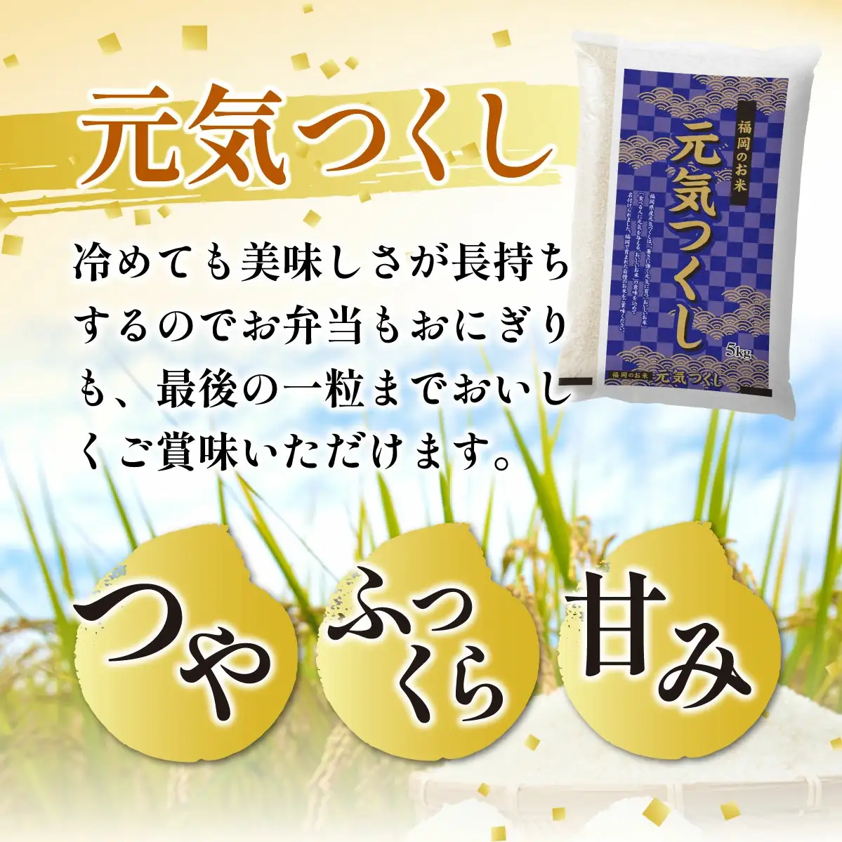 【定期便：６ケ月】令和７年産 福岡県産米 元気つくし 10kg 精米 CY012sub6
