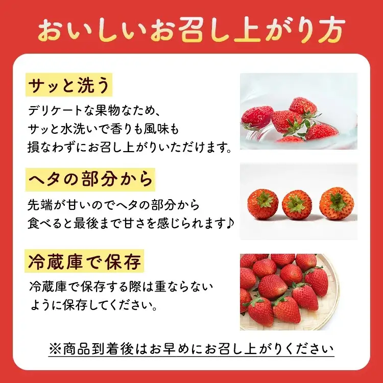 【数量限定】 いちご食べ比べセット スカイベリー290g＆とちあいか290g | いちご 栃木 スカイベリー 甘い 糖度 旬 新鮮 フルーツ 果物 アレンジ スイーツ いちごジャム フルーツサンド ※2026年12月～発送