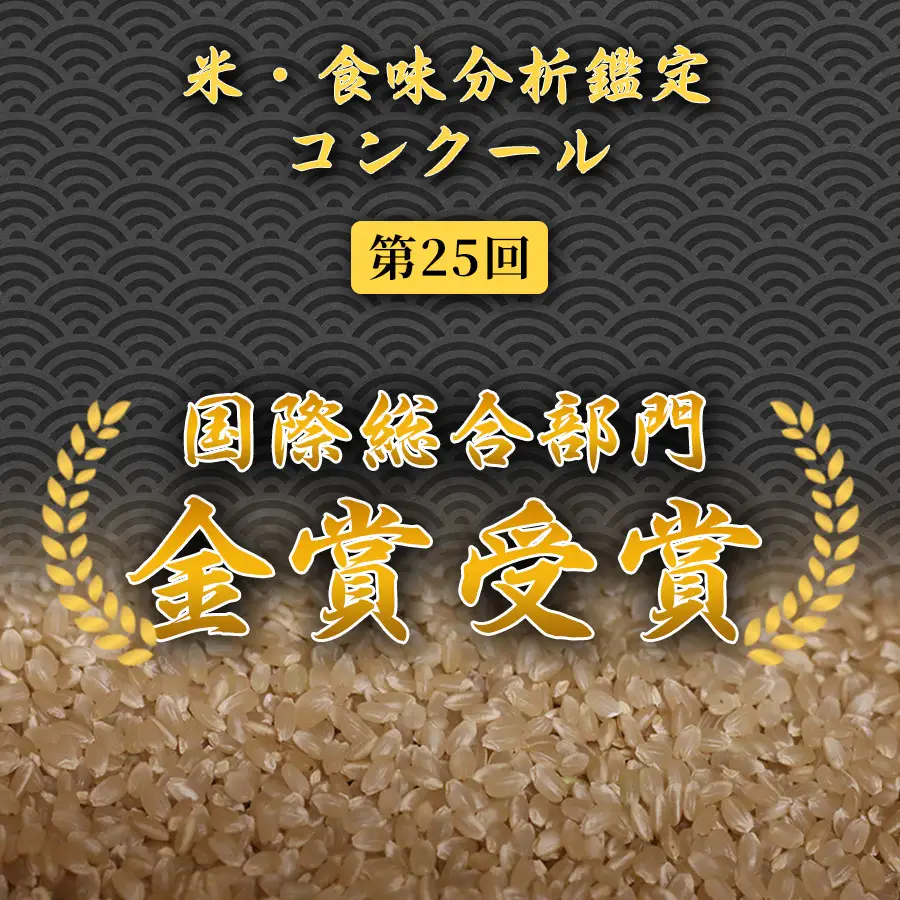 魚沼産コシヒカリ 米粉 500g 2パック 5セット | 津南町 米粉