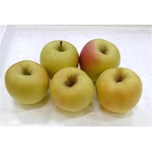 青森県産りんご 3kg(1箱※7～12個入り)【1672875】