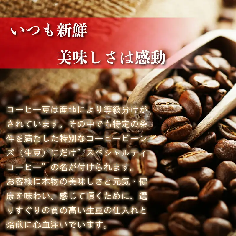 コーヒー Nanの木 自家焙煎 スペシャルティ 3種 飲み比べ セット 粉 | コーヒー
