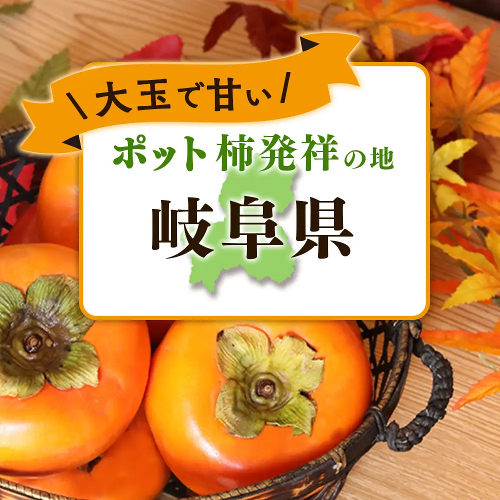 【先行予約】こだわり栽培ポット柿（早秋柿） 3Lサイズ9個入り ※離島への配送不可  ※2026年10月中旬～11月上旬頃に順次発送予定