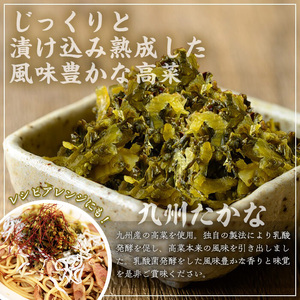 ＜定期便全3回＞九州たかな定期便 (10袋×3回) 漬物 高菜 つけもの【曽於市観光協会】T73