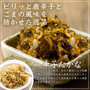 ＜定期便全3回＞辛子たかな定期便 (10袋×3回) 漬物 高菜 つけもの【曽於市観光協会】T74
