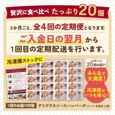 Z61-87 【4回定期便】どっちのハンバーグ(デミグラスソース)20個【ビーフ・合挽 各10個】 ハンバーグ