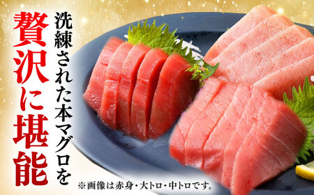 対馬産 本マグロ 中トロ100g ≪対馬市≫【桐谷商店】 トロの華 対馬 新鮮 マグロ 中トロ トロ 鮪 刺身[WAQ115]