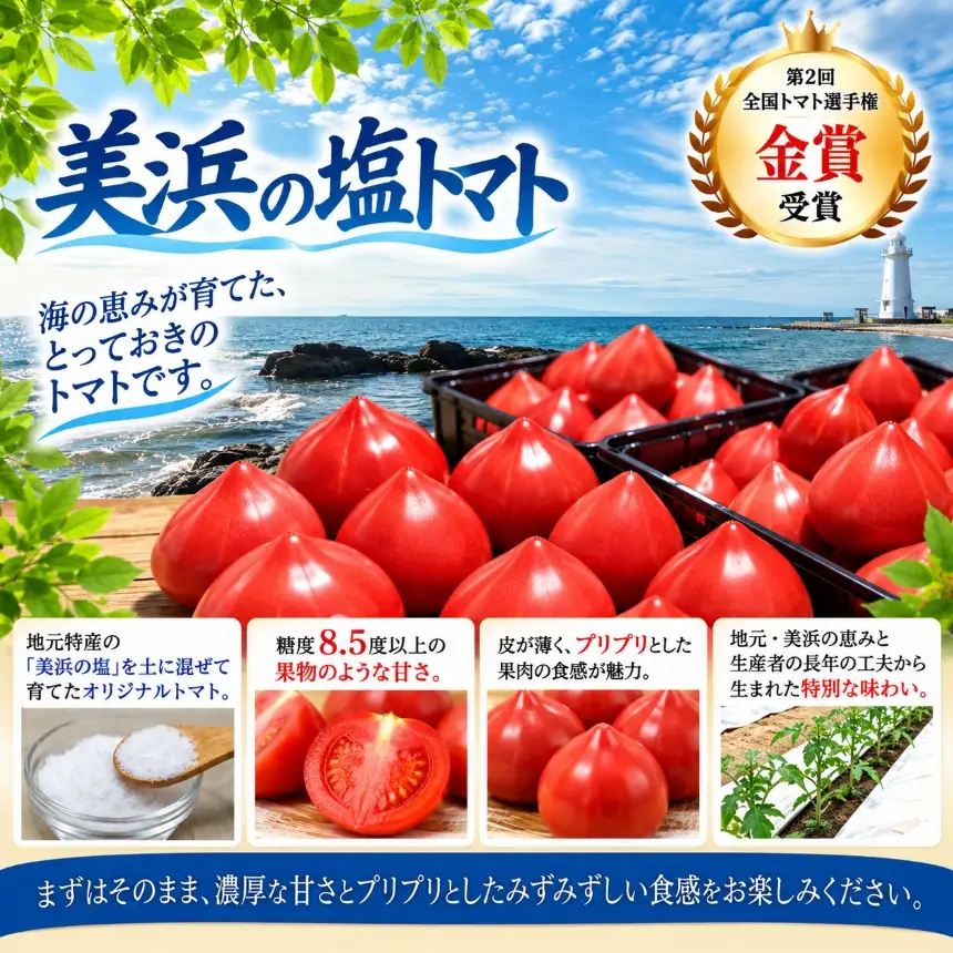 農家直送 美浜の塩トマト 約300g