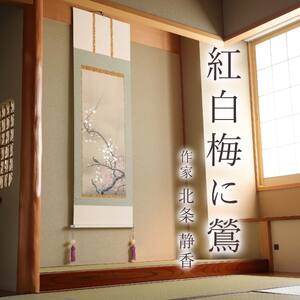 掛け軸「紅白梅に鶯」 北条静香 尺五立 サイズ：54.5×190cm 桐箱付 掛け軸 和室 おしゃれ 日本画 表装 床の間