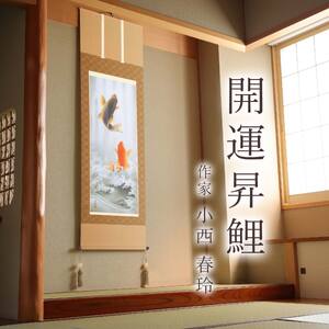 掛け軸「開運昇鯉」 小西春玲 尺五立 サイズ：54.5×190cm 桐箱付 掛け軸 和室 おしゃれ 日本画 表装 床の間