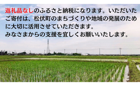 【返礼品なし】埼玉県松伏町への応援寄付2,000円