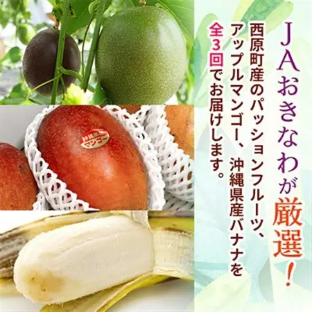 【発送月固定定期便】JAおきなわ厳選フルーツセット(パッションフルーツ・マンゴー・島バナナ)全3回【配送不可地域：離島】【4080887】