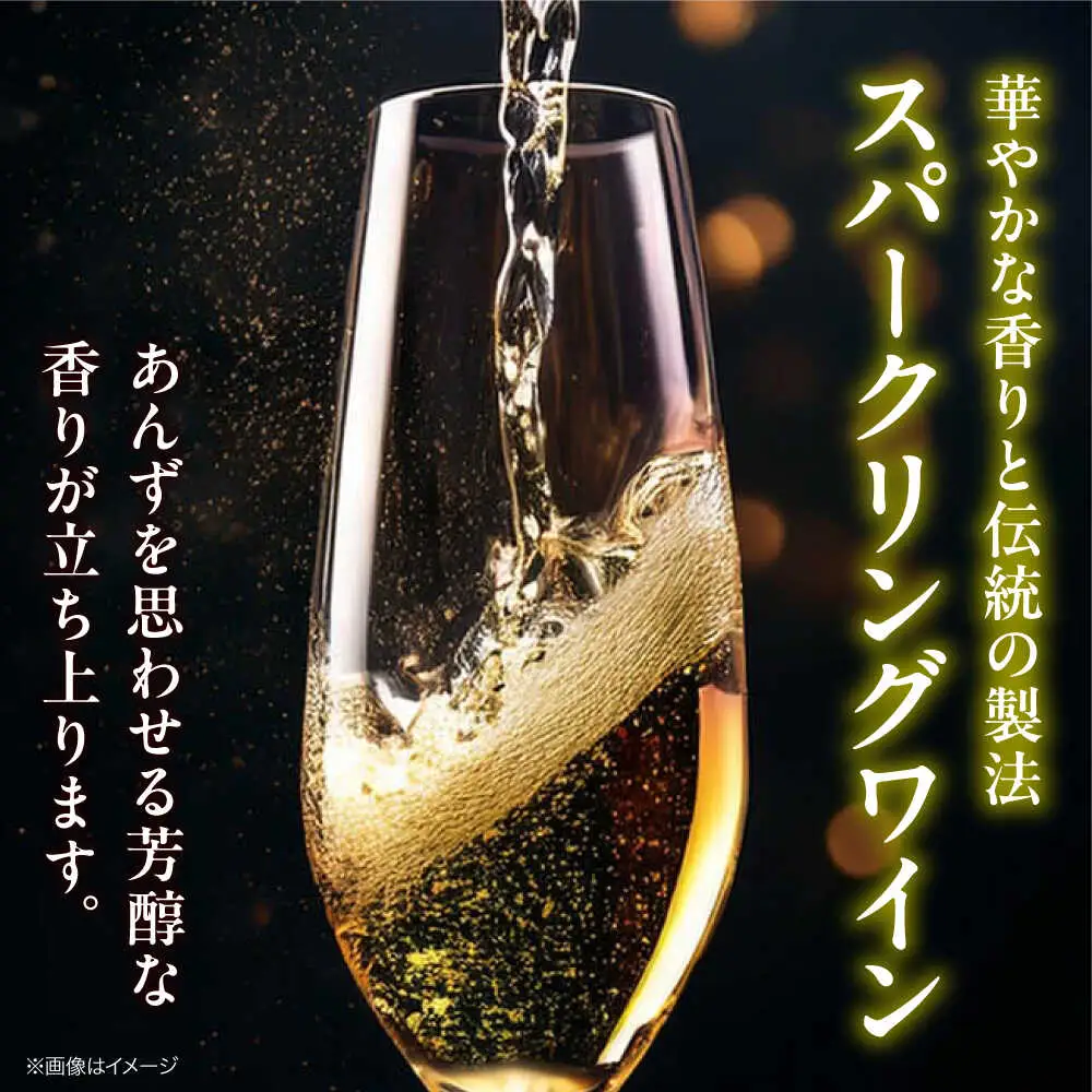 VILLAQUA -イエロー- 750ml×3本 [APAZ150] ワイン