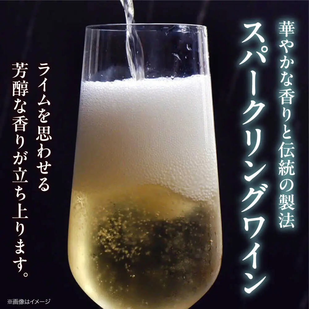 VILLAQUA -グリーン- 750ml×2本 [APAZ152] ワイン